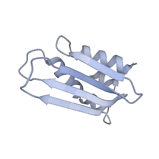 11393_6zsc_k_v3-0
Human mitochondrial ribosome in complex with E-site tRNA