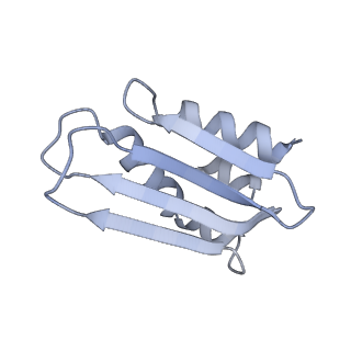 11393_6zsc_k_v4-1
Human mitochondrial ribosome in complex with E-site tRNA