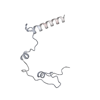 11393_6zsc_l_v1-0
Human mitochondrial ribosome in complex with E-site tRNA