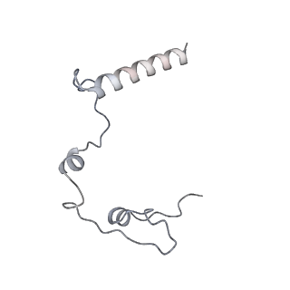 11393_6zsc_l_v3-0
Human mitochondrial ribosome in complex with E-site tRNA