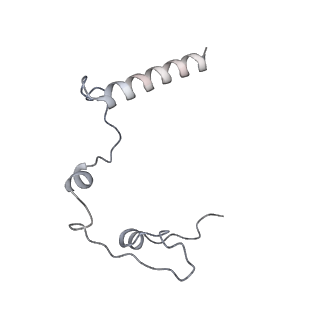 11393_6zsc_l_v4-0
Human mitochondrial ribosome in complex with E-site tRNA