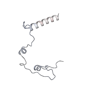 11393_6zsc_l_v4-1
Human mitochondrial ribosome in complex with E-site tRNA