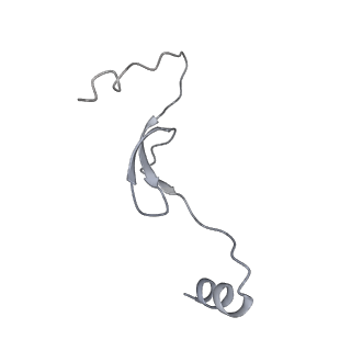 11393_6zsc_m_v4-1
Human mitochondrial ribosome in complex with E-site tRNA