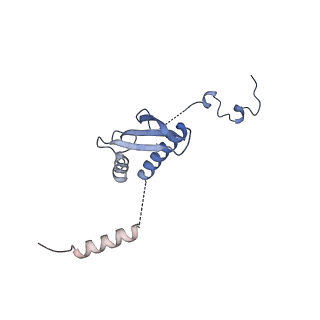 11393_6zsc_p_v1-0
Human mitochondrial ribosome in complex with E-site tRNA
