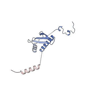 11393_6zsc_p_v4-0
Human mitochondrial ribosome in complex with E-site tRNA