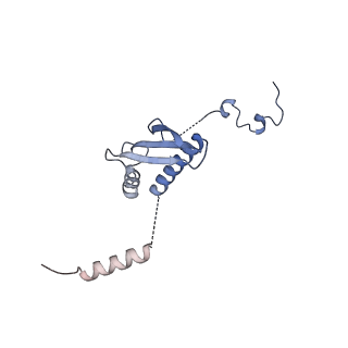 11393_6zsc_p_v4-1
Human mitochondrial ribosome in complex with E-site tRNA