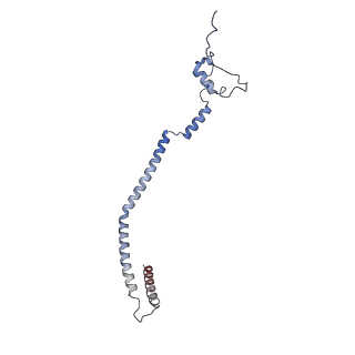 11393_6zsc_q_v1-0
Human mitochondrial ribosome in complex with E-site tRNA