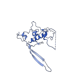 11393_6zsc_r_v4-1
Human mitochondrial ribosome in complex with E-site tRNA