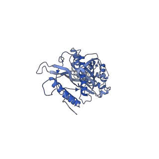 11393_6zsc_s_v1-0
Human mitochondrial ribosome in complex with E-site tRNA