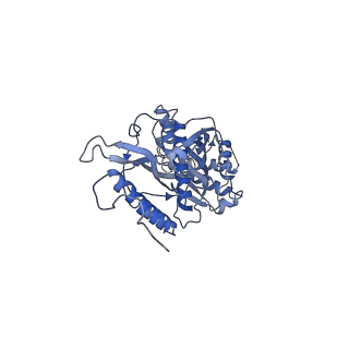 11393_6zsc_s_v4-1
Human mitochondrial ribosome in complex with E-site tRNA