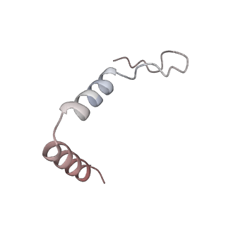 11393_6zsc_t1_v4-1
Human mitochondrial ribosome in complex with E-site tRNA