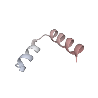 11393_6zsc_t4_v4-1
Human mitochondrial ribosome in complex with E-site tRNA