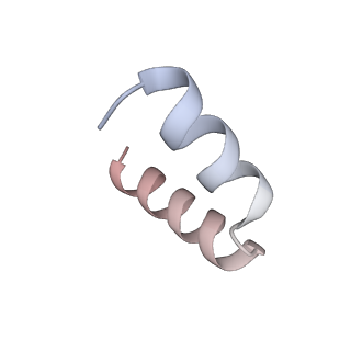 11393_6zsc_t5_v4-1
Human mitochondrial ribosome in complex with E-site tRNA