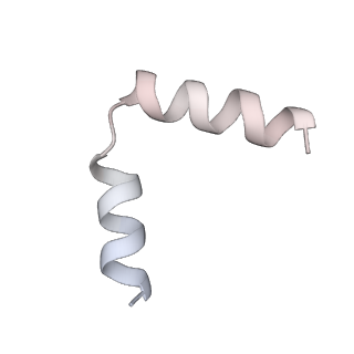 11393_6zsc_t6_v4-1
Human mitochondrial ribosome in complex with E-site tRNA