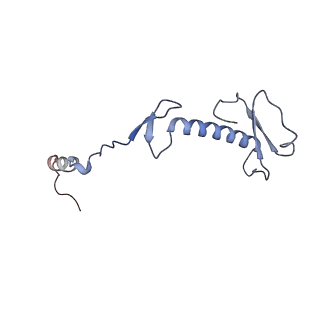 11394_6zsd_0_v1-0
Human mitochondrial ribosome in complex with mRNA, P-site tRNA and E-site tRNA