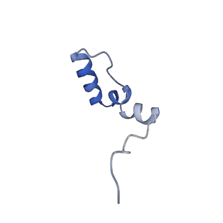 11394_6zsd_2_v1-0
Human mitochondrial ribosome in complex with mRNA, P-site tRNA and E-site tRNA