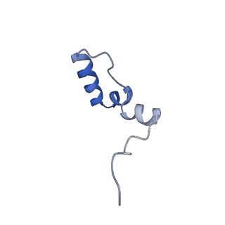 11394_6zsd_2_v4-1
Human mitochondrial ribosome in complex with mRNA, P-site tRNA and E-site tRNA