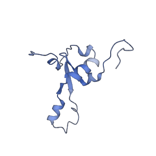 11394_6zsd_3_v1-0
Human mitochondrial ribosome in complex with mRNA, P-site tRNA and E-site tRNA