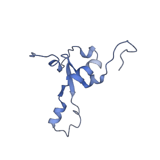 11394_6zsd_3_v4-1
Human mitochondrial ribosome in complex with mRNA, P-site tRNA and E-site tRNA