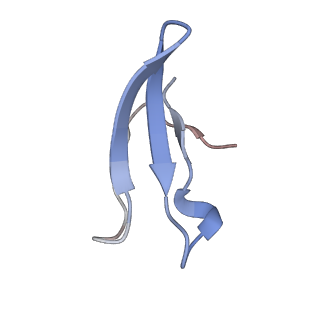 11394_6zsd_4_v1-0
Human mitochondrial ribosome in complex with mRNA, P-site tRNA and E-site tRNA