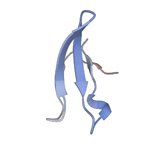 11394_6zsd_4_v4-1
Human mitochondrial ribosome in complex with mRNA, P-site tRNA and E-site tRNA