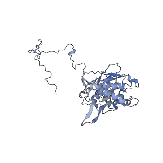 11394_6zsd_5_v1-0
Human mitochondrial ribosome in complex with mRNA, P-site tRNA and E-site tRNA