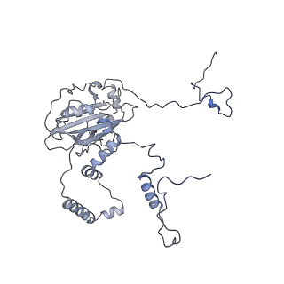 11394_6zsd_6_v1-0
Human mitochondrial ribosome in complex with mRNA, P-site tRNA and E-site tRNA