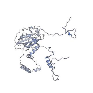 11394_6zsd_6_v3-0
Human mitochondrial ribosome in complex with mRNA, P-site tRNA and E-site tRNA