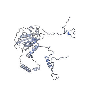 11394_6zsd_6_v4-1
Human mitochondrial ribosome in complex with mRNA, P-site tRNA and E-site tRNA