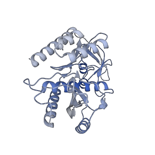 11394_6zsd_7_v1-0
Human mitochondrial ribosome in complex with mRNA, P-site tRNA and E-site tRNA