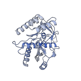 11394_6zsd_7_v4-1
Human mitochondrial ribosome in complex with mRNA, P-site tRNA and E-site tRNA