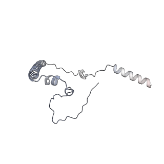 11394_6zsd_8_v1-0
Human mitochondrial ribosome in complex with mRNA, P-site tRNA and E-site tRNA