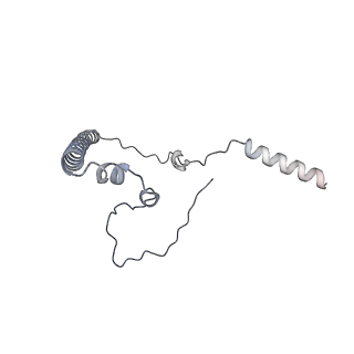 11394_6zsd_8_v4-1
Human mitochondrial ribosome in complex with mRNA, P-site tRNA and E-site tRNA