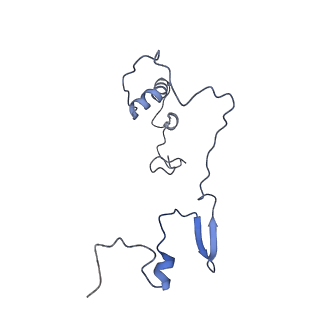 11394_6zsd_9_v4-1
Human mitochondrial ribosome in complex with mRNA, P-site tRNA and E-site tRNA