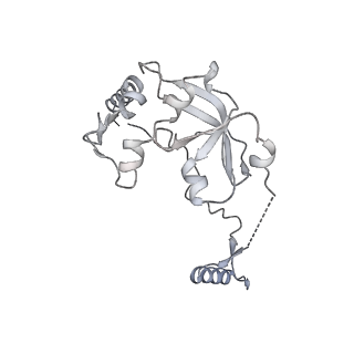 11394_6zsd_A0_v1-0
Human mitochondrial ribosome in complex with mRNA, P-site tRNA and E-site tRNA