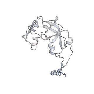 11394_6zsd_A0_v4-1
Human mitochondrial ribosome in complex with mRNA, P-site tRNA and E-site tRNA