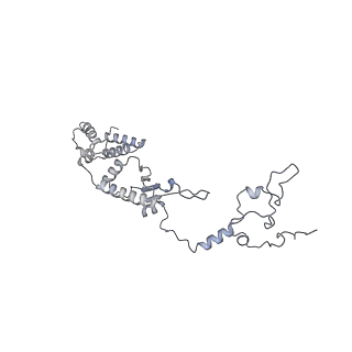 11394_6zsd_A1_v1-0
Human mitochondrial ribosome in complex with mRNA, P-site tRNA and E-site tRNA