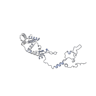 11394_6zsd_A1_v2-0
Human mitochondrial ribosome in complex with mRNA, P-site tRNA and E-site tRNA