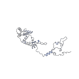 11394_6zsd_A1_v4-1
Human mitochondrial ribosome in complex with mRNA, P-site tRNA and E-site tRNA