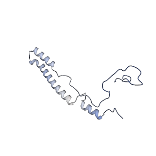 11394_6zsd_A2_v1-0
Human mitochondrial ribosome in complex with mRNA, P-site tRNA and E-site tRNA