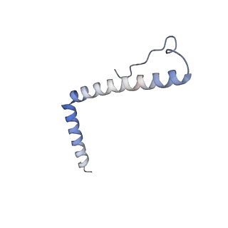 11394_6zsd_A3_v4-1
Human mitochondrial ribosome in complex with mRNA, P-site tRNA and E-site tRNA