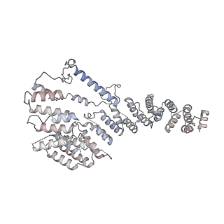 11394_6zsd_A4_v4-1
Human mitochondrial ribosome in complex with mRNA, P-site tRNA and E-site tRNA