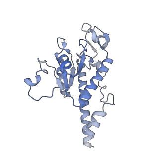 11394_6zsd_AB_v1-0
Human mitochondrial ribosome in complex with mRNA, P-site tRNA and E-site tRNA