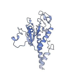 11394_6zsd_AB_v2-0
Human mitochondrial ribosome in complex with mRNA, P-site tRNA and E-site tRNA