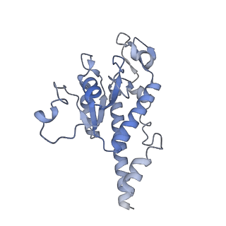 11394_6zsd_AB_v3-0
Human mitochondrial ribosome in complex with mRNA, P-site tRNA and E-site tRNA