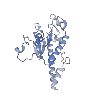 11394_6zsd_AB_v4-0
Human mitochondrial ribosome in complex with mRNA, P-site tRNA and E-site tRNA