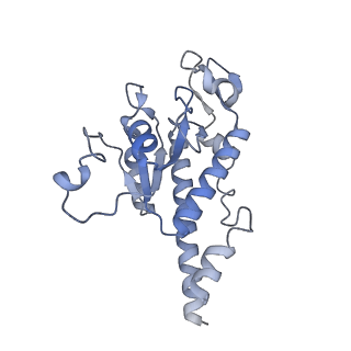 11394_6zsd_AB_v4-1
Human mitochondrial ribosome in complex with mRNA, P-site tRNA and E-site tRNA