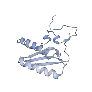 11394_6zsd_AC_v1-0
Human mitochondrial ribosome in complex with mRNA, P-site tRNA and E-site tRNA