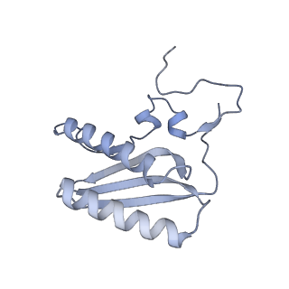 11394_6zsd_AC_v4-1
Human mitochondrial ribosome in complex with mRNA, P-site tRNA and E-site tRNA