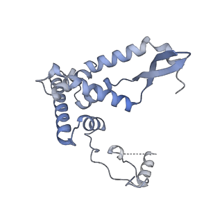 11394_6zsd_AF_v1-0
Human mitochondrial ribosome in complex with mRNA, P-site tRNA and E-site tRNA